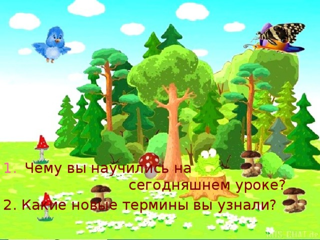 Чему вы научились на сегодняшнем уроке? 2. Какие новые термины вы узнали? 