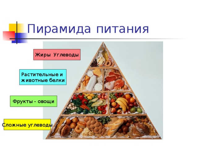 Питание белки жиры углеводы