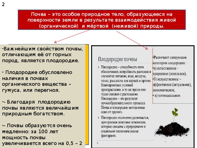 Почва особое природное тело презентация 5 класс