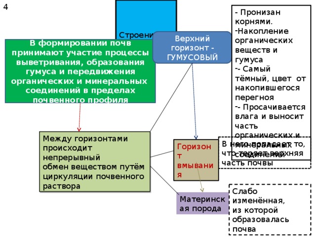 Почва - зеркало природы