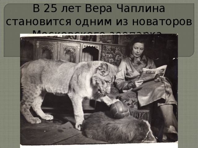 В 25 лет Вера Чаплина становится одним из новаторов Московского зоопарка. 
