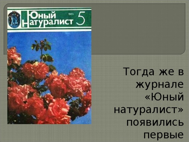 Тогда же в журнале «Юный натуралист» появились первые небольшие рассказы Веры Чаплиной 