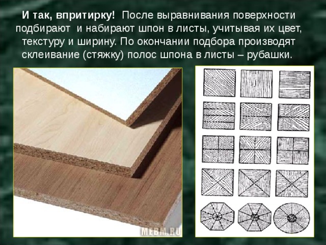 Участок коры сохранившийся на поверхности шпона