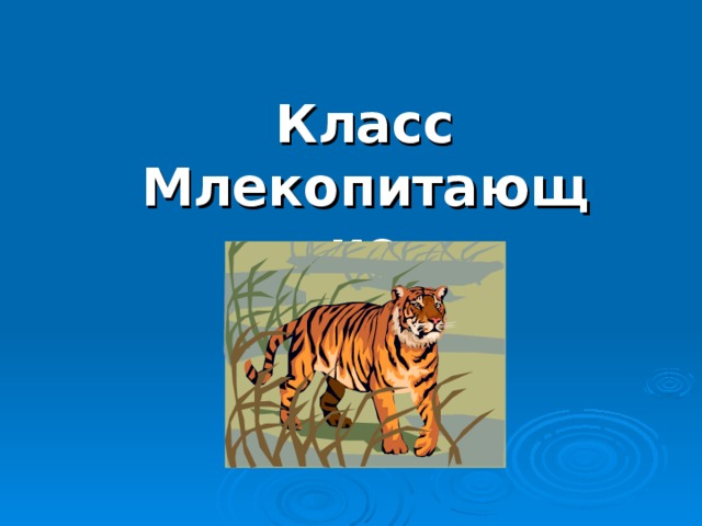 Презентация млекопитающие 1 класс окружающий мир