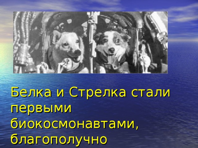 Картинки белка и стрелка в космосе для детей дошкольного возраста