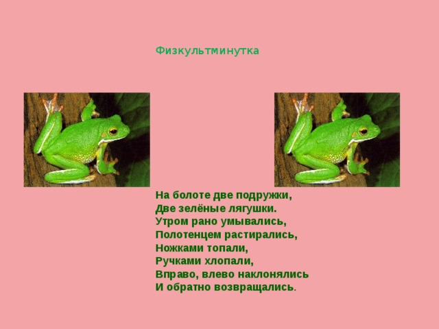 Физкультминутка  На болоте две подружки, Две зелёные лягушки. Утром рано умывались, Полотенцем растирались, Ножками топали, Ручками хлопали, Вправо, влево наклонялись И обратно возвращались . 