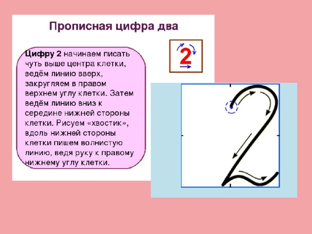 Цифра 2 в русском языке 4 класс. Правильное написание цифры 2. Объяснение написания цифры 2. Цифра два письмо. Образец написания цифры 2.