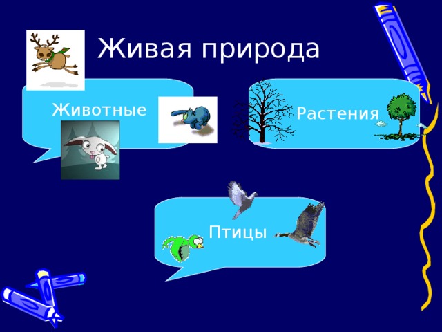 Живая природа Животные Растения Птицы 