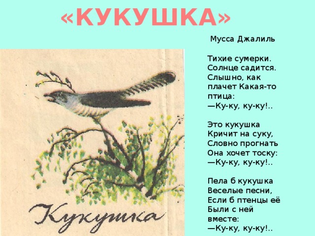 Благинина Кукушка Рисунок