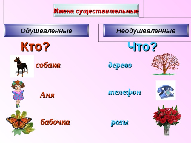 Рисунок существительное одушевленное или неодушевленное