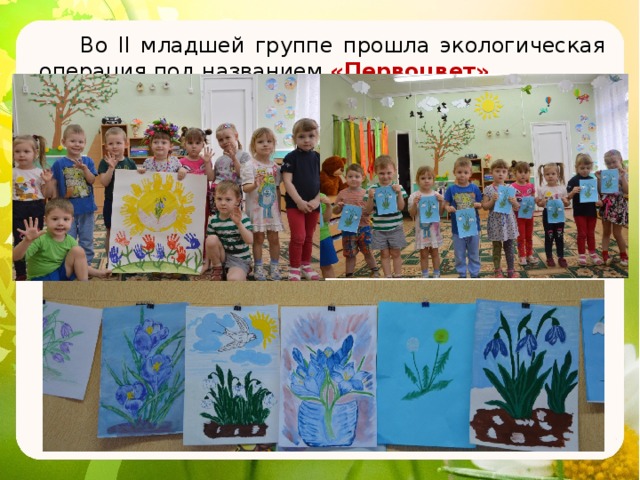 Экологический проект 2 младшая группа Экологический проект на тему: "Только вместе, только дружно помогать природе нуж