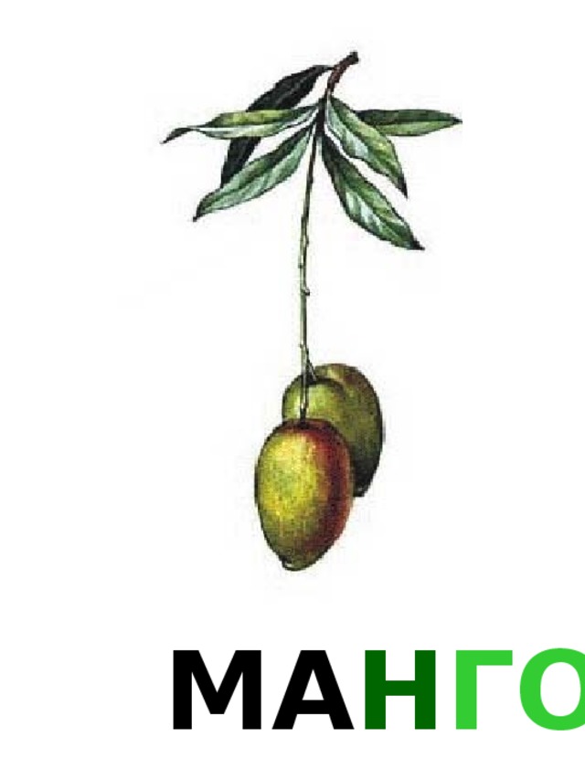 МА Н ГО 