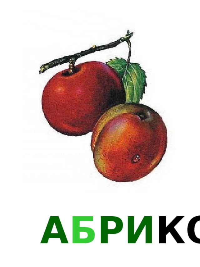 А Б РИ КО С 