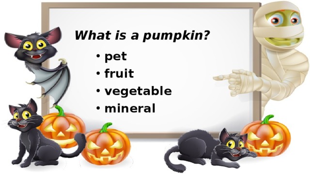 What is a pumpkin? pet fruit vegetable mineral   