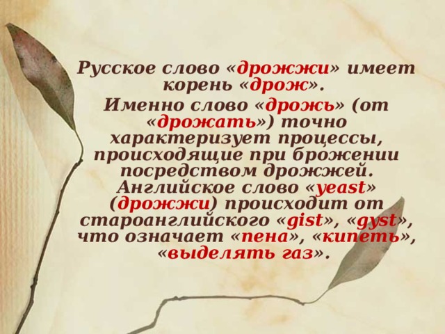 Русское слово « дрожжи » имеет корень « дрож ». Именно слово « дрожь » (от « дрожать ») точно характеризует процессы, происходящие при брожении посредством дрожжей. Английское слово « yeast » ( дрожжи ) происходит от староанглийского « gist », « gyst », что означает « пена », « кипеть », « выделять газ ».  