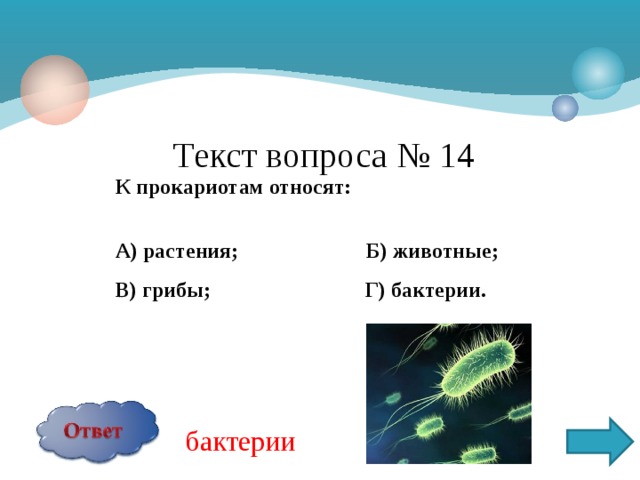 Текст вопроса № 14 К прокариотам относят:  А) растения; Б) животные; В) грибы; Г) бактерии.  бактерии