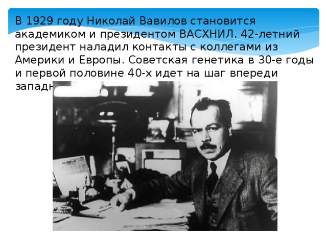 В 1929 году Николай Вавилов становится академиком и президентом ВАСХНИЛ. 42-летний президент наладил контакты с коллегами из Америки и Европы. Советская генетика в 30-е годы и первой половине 40-х идет на шаг впереди западной науки. 