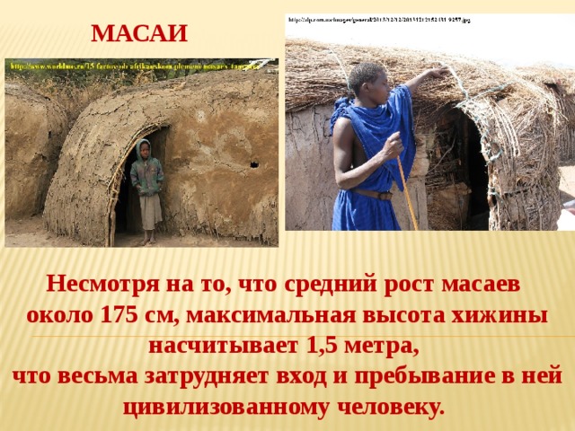 МАСАИ Несмотря на то, что средний рост масаев около 175 см, максимальная высота хижины насчитывает 1,5 метра, что весьма затрудняет вход и пребывание в ней цивилизованному человеку. 