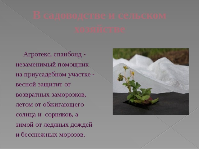 В садоводстве и сельском хозяйстве  Агротекс, спанбонд - незаменимый помощник на приусадебном участке - весной защитит от возвратных заморозков, летом от обжигающего солнца и сорняков, а зимой от ледяных дождей и бесснежных морозов . 