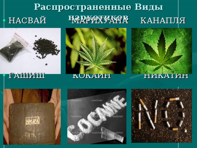 Какие виды плана существуют фотография