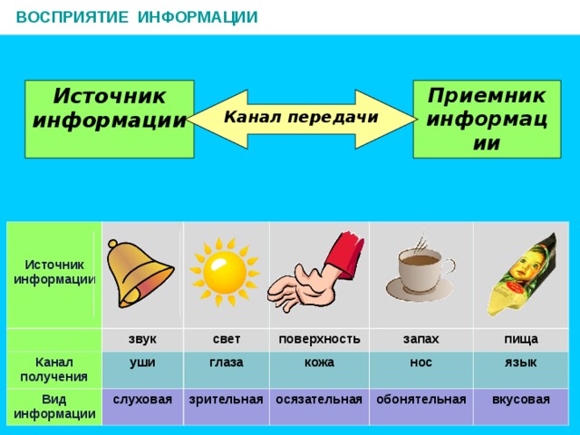 Каналы получения информации. Каналы восприятия информации человеко. Каналы получения информации человеком. Восприятие информации. Источники восприятия информации.