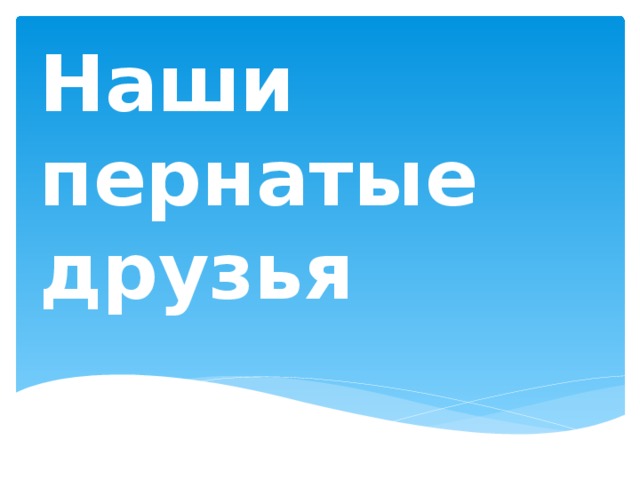 Наши пернатые друзья 