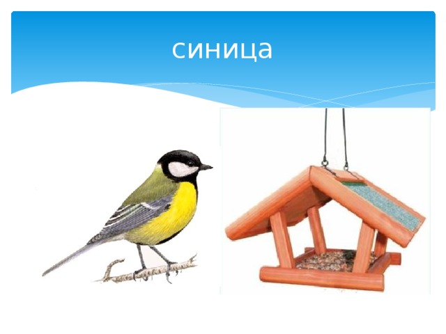 синица 