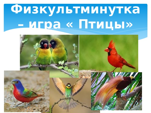 Физкультминутка – игра « Птицы» 