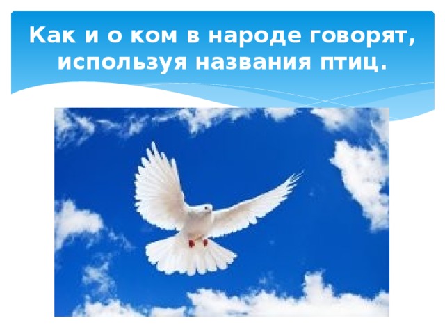 Как и о ком в народе говорят, используя названия птиц. Ворковать, как… 