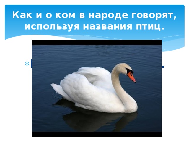 Как и о ком в народе говорят, используя названия птиц. Красивая шея или… 