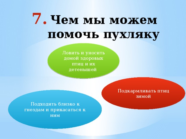 Чем мы можем помочь пухляку Ловить и уносить домой здоровых птиц и их детенышей Подкармливать птиц зимой Подходить близко к гнездам и прикасаться к ним 