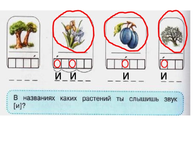 Слышится звонкая ранняя песня малиновки схема предложения