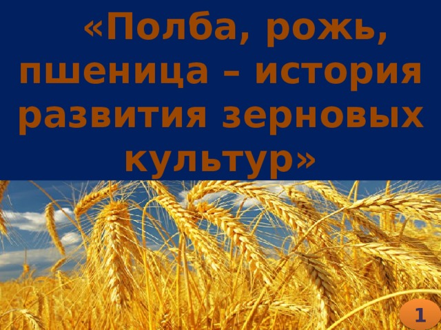  «Полба, рожь, пшеница – история развития зерновых культур» 1 