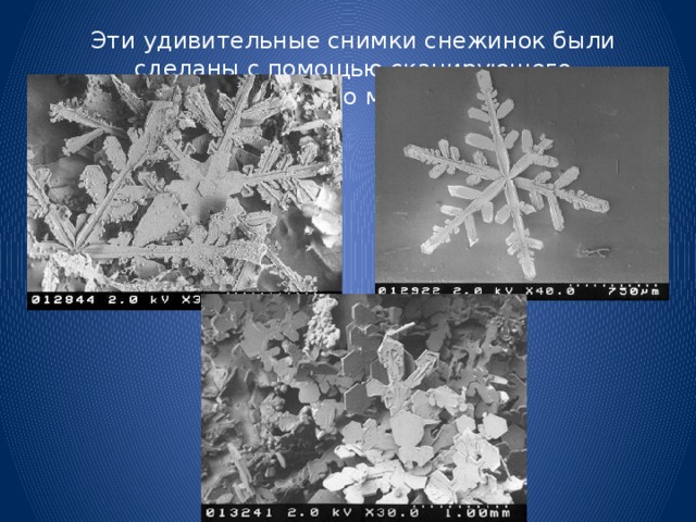 Эти удивительные снимки снежинок были сделаны с помощью сканирующего электронного микроскопа. 