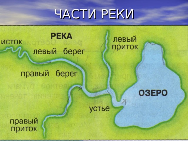 Части реки