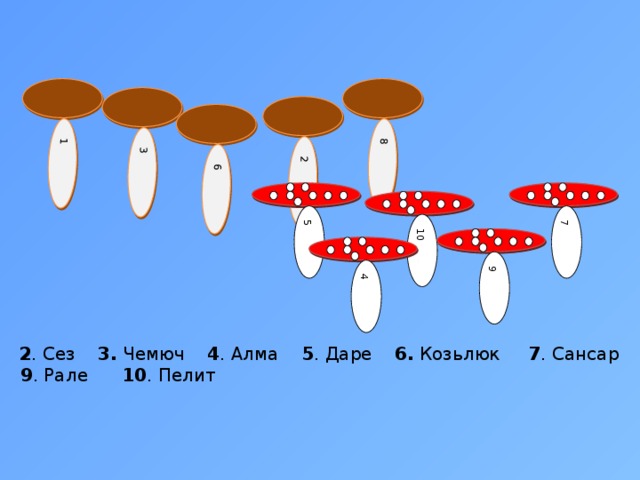 1 5 3 6 10 9 2 7 8 4 1. Торун 2 . Сез 3. Чемюч 4 . Алма 5 . Даре 6. Козьлюк 7 . Сансар  8 . Къой 9 . Рале 10 . Пелит 