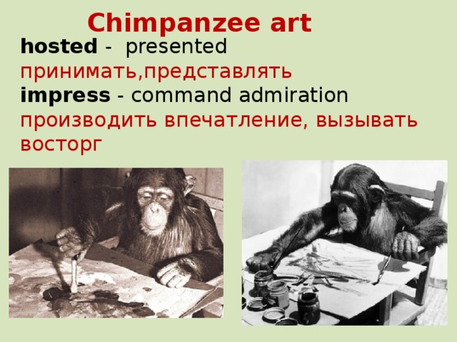 Chimpanzee art hosted - presented принимать,представлять impress - command admiration производить впечатление, вызывать восторг 