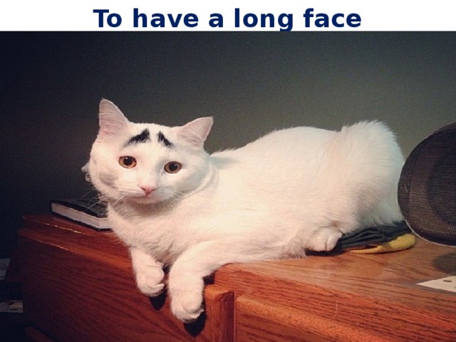 To have a long face 