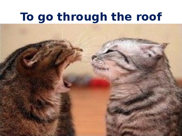 To go through the roof 