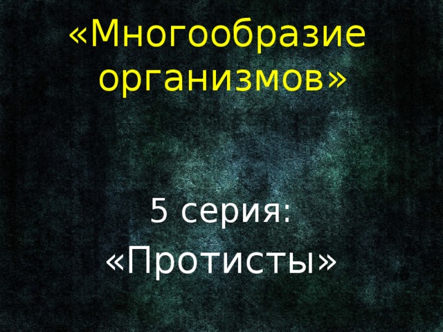 «Многообразие организмов» 5 серия: «Протисты» 