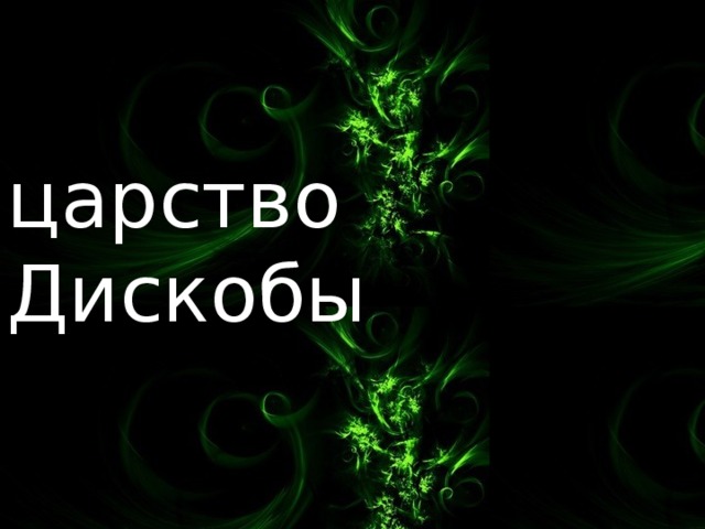 царство Дискобы 3 