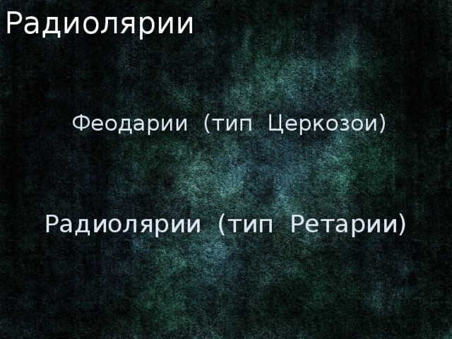 Радиолярии  Феодарии (тип Церкозои) Радиолярии (тип Ретарии) Устаревшее таксономическое. По данным электронной микроскопии и молекулярной филогенетики разделён по разным типам. Ныне: форма тела. 3 