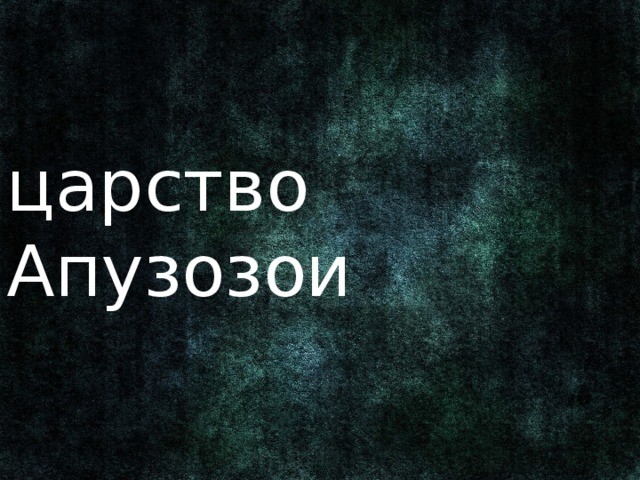 царство Апузозои Ранее относились к типу Корнежгутиковые подцарства Простейшие, царства Животные. 3 