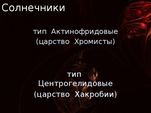 Солнечники тип Актинофридовые (царство Хромисты) тип Центрогелидовые (царство Хакробии) Устаревшее таксономическое. По данным электронной микроскопии и молекулярной филогенетики разделён по разным царствам. Ныне: форма тела. 3 