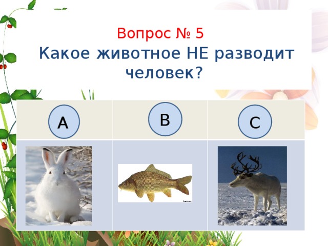 Тест по теме чему учит экономика. Биология 5 класс заяц в рыбу. Какая рыба какой заяц.