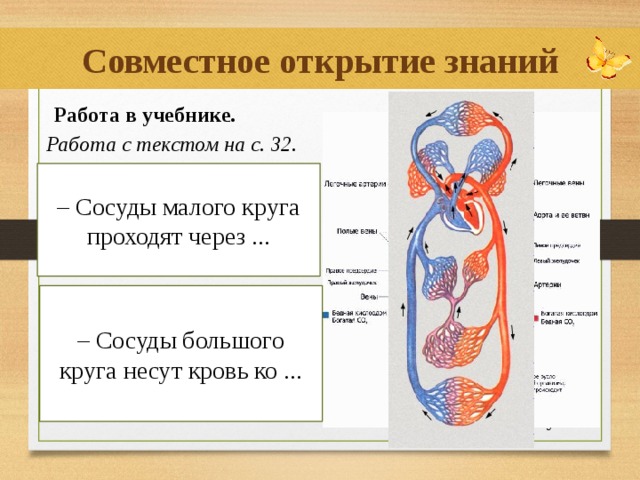 В артериях малого круга течет