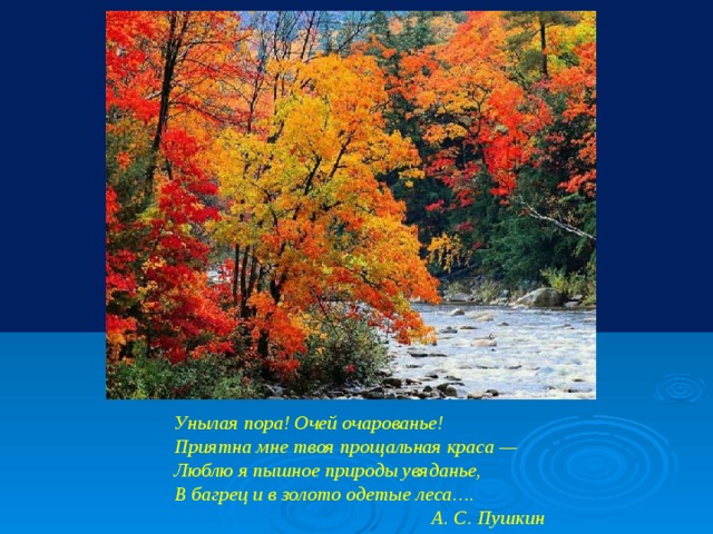 Унылая пора! Очей очарованье!  Приятна мне твоя прощальная краса —  Люблю я пышное природы увяданье,  В багрец и в золото одетые леса….  А. С. Пушкин   