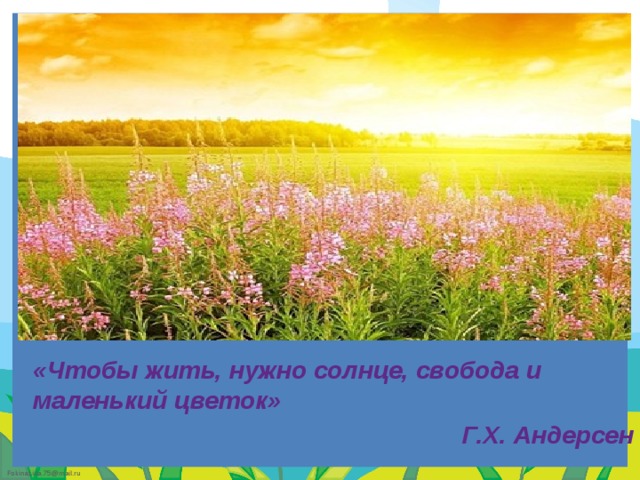 «Чтобы жить, нужно солнце, свобода и маленький цветок» Г.Х. Андерсен  