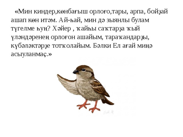  «Мин киндер,көнбағыш орлоғо,тары, арпа, бойҙай ашап көн итәм. Ай-һай, мин дә зыянлы булам түгелме һуң? Хәйер , ҡайһы саҡтарҙа ҡый үләндәренең орлоғон ашайым, тараҡандарҙы, күбәләктәрҙе тотҡолайым. Бәлки Ел ағай миңә асыуланмаҫ.» 