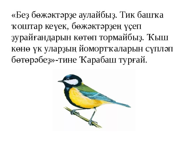 «Беҙ бөжәктәрҙе аулайбыҙ. Тик башҡа ҡоштар кеүек, бөжәктәрҙең үҫеп ҙурайғандарын көтөп тормайбыҙ. Ҡыш көнө үк уларҙың йомортҡаларын сүпләп бөтөрәбеҙ»-тине Ҡарабаш турғай. 